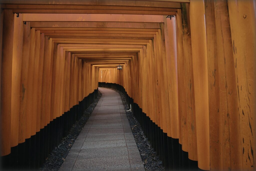 光の差し込む鳥居のトンネルが続いている写真